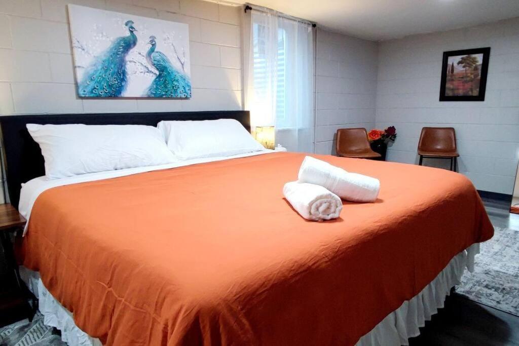 Spacious Suite Close To Downtown Indy/ King Bed Indianapolis Buitenkant foto